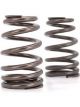 Comp Cams Valve Spring Race Sportsman 1.454 in. OD Beehive 1.800 in. I