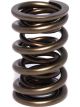 Comp Cams Valve Spring Endurance 1.565 in. OD Dual 2.000 in. Installed