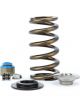 Comp Cams Coyote Beehive Spring Kit w/ Chromemoly Steel Retainers