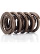 Comp Cams Valve Spring Endurance 1.560 in. OD Dual 2.050 in. Installed