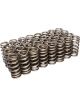 Comp Cams VALVE SPRINGS 1.101 in. H/L GM DURAMAX BEEHIVE