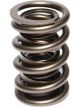 Comp Cams Valve Spring Race Sportsman 1.320 in. OD Dual 1.835 in. Inst