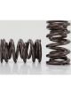 Comp Cams HIGH PERF GM LS1 DUAL Valve Springs