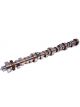 Comp Cams Camshaft Thumpr Hydraulic Roller Advertised Duration 283/30