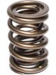 Comp Cams Valve Spring Dual 1.489 in. O.D. 367 lbs./in. Rate 1.110 in. C