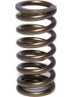 Comp Cams Valve Spring Single 1.015 in. O.D. 156 lbs./in. Rate 1.100 in.
