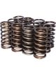 Comp Cams Valve Springs Single Inner Valve Springs .970 Inner Spring 12