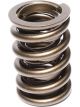 Comp Cams Valve Spring Dual 1.460 in. O.D. 403 lbs./in. Rate 1.195 in. C