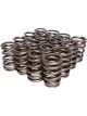 Comp Cams 1.250 in. OD Space Saver Spring 1.750 in. Installed Height 1