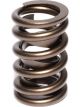 Comp Cams 1.260 in. OD Single Spring 1.700 in. Installed Height 1 Spring