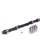 Comp Cams and Lifters High Energy Hydraulic Flat Cam Advertised