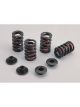 Crane Cams Valve Springs retainers & Locks kit Ch. 262-400 V8 Set of 1
