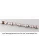 Crane Cams R-264/4381-2S-8 LWD RD 55J camshaft Ch. 262-400 V8 57-87
