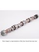 Crane Cams Powermax Camshaft