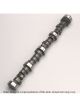 Crane Cams Camshaft Mechanical Roller Tappet Advertised Duration 294/30
