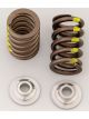 Crane Cams Valve Springs & retainers kit Neon DOHC 4V I4 Set of 16