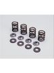 Crane Cams Valve Springs & retainers kit Fd. Duratec DOHC 4V I4 Set o