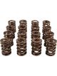 Crane Cams Valve Springs Dual 1.625 in. O.D. 1.100 in. Coil Bind Hei