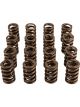 Crane Cams Valve Springs Single 1.260 in. O.D. Damper 1.110 in. Coil