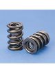 Crane Cams Valve Springs Dual 1.304 Set of 12