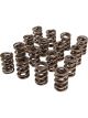 Crane Cams Valve Springs Dual 1.565 in. O.D. Damper 1.121 in. Coil Bi