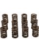 Crane Cams Valve Springs Dual 1.460 Set of 8