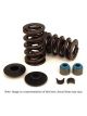 Crane Cams Dual valve Springs ti. retainers Locks seats & seals kit C