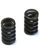 Dart Valve Spring Dual 1.625 in. Outside Diameter 1.100 in. Coil Bind