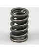 Dart Valve Spring 1.437 1x Ea.(outer)