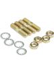 Demon Carburettor Studs Gold Iridited 5/16-18/24 in. x 1.430