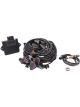Edelbrock Fuel Injection Engine Management System Pro-Flo 4 Self-Learni…