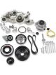 Holley Accessory Drive System Mid-mount 6-groove Serpentine with Alt/Te