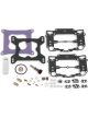 Holley Renew Kit