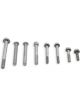 Holley Hardware Lt4 Wet-Natural (Alt)