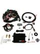 Holley Engine Management Systems HP ECU & Harness for GM TPI & Holley