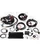 Holley Engine Management Sys Terminator LS2/LS3/Truck with 58x Crank R