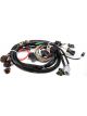 Holley Fuel Injection Wire Harness Multi-Port Avenger HP Dominator Spe