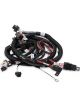 Holley Main Harness Terminator Tbi Lsx 24X