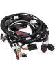 Holley Main Harness Terminator Tbi Lsx 58X