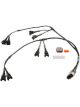 Holley Fuel Injection Harness Hollysport V8 Multi-Port Mass Airflow EV