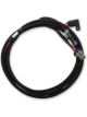 Holley Wiring Harness EFI Main Power Harness Coyote Ti-VCT Dominator/H