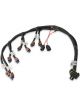 Holley EFI Comp COIL HARNESS FORD COYOTE 2015 Onwards