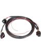 Holley Wiring Harness Dominator EFI GM Drive By Holley