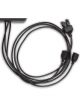 Holley Wiring Harness Holley EFI Digital Dash Service Harness