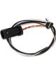 Holley Wiring Harness Holley EFI CAN Power Harness Adapts 2-Pin to 4-P
