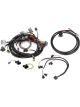 Holley Wiring Harness EFI Multi-port Speed density Holley Chevrolet Ki