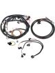Holley MPFI Main Harness Kit Universal V8 Holley HP Dominator