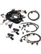 Holley Wiring Harness EFI Multi-port Speed density Holley Ford Kit