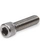 Holley Bolt Dominator EFI Replacement Component Allen Head 1/4-20 in.