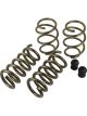 Hurst Coil Springs Stage 1 Lowering Front and Rear Gold Powdercoated